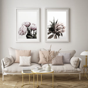 The Styler Protea flower wall art print Wall Art Print - Yorkelee Prints Australia