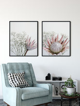 Thea - Protea and Baby Breath flower wall art print Wall Art Print - Yorkelee Prints Australia